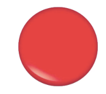 After Glow Lip Gloss Set - "Oh My Gloss"